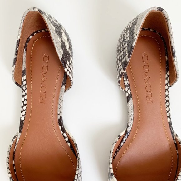 ❌SOLD- COACH Printed Exotic Pointy Toe Flat 5.5 - Picture 8 of 11